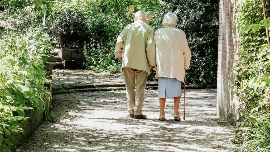 Boomers taking a walk along sun-dappled path.