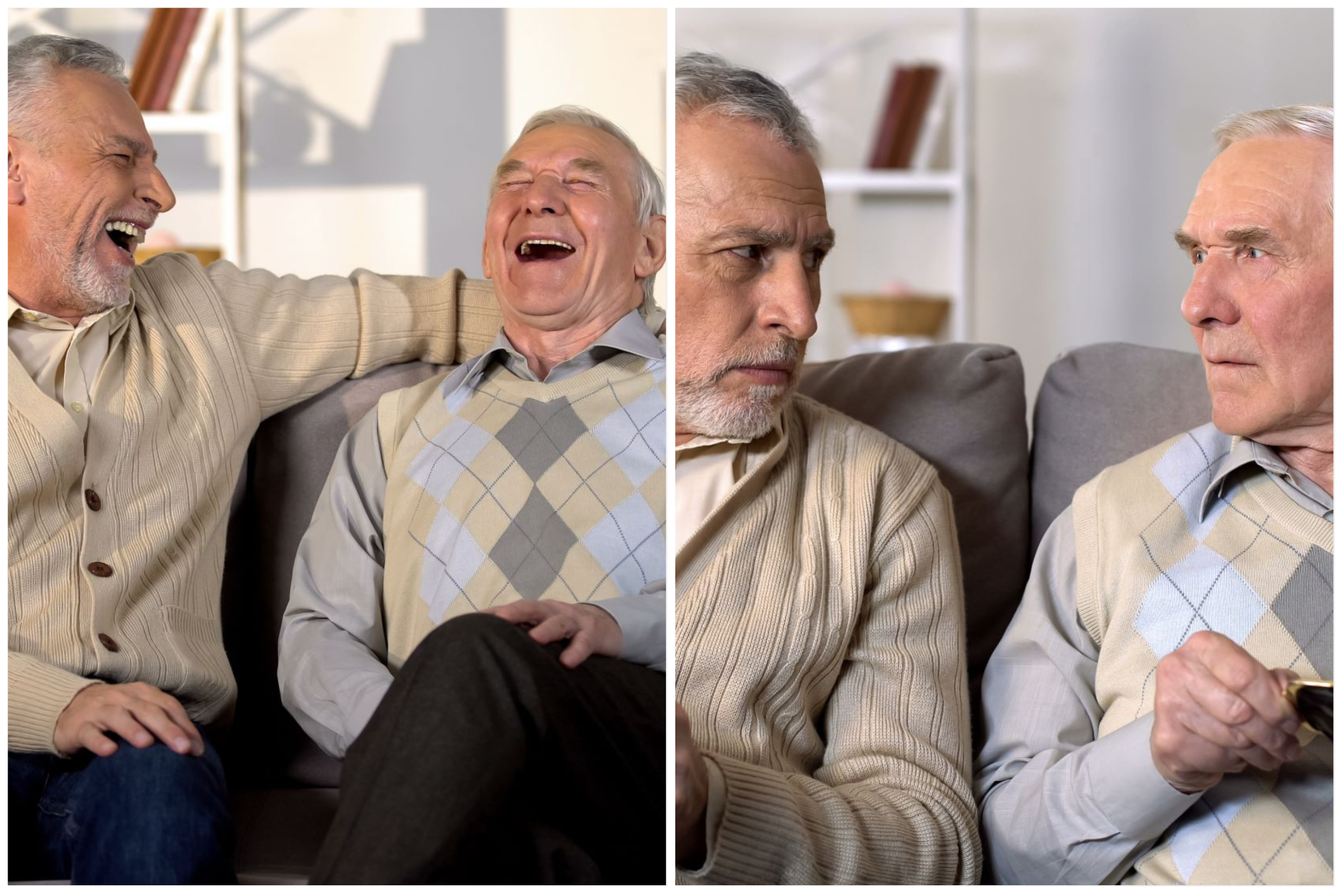 The Pros And Cons Of Aging In Place With A Roommate
