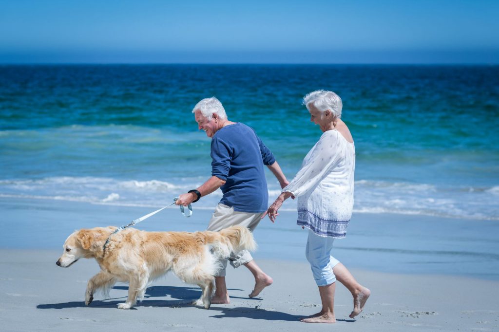 retired couple walking dog on the beach