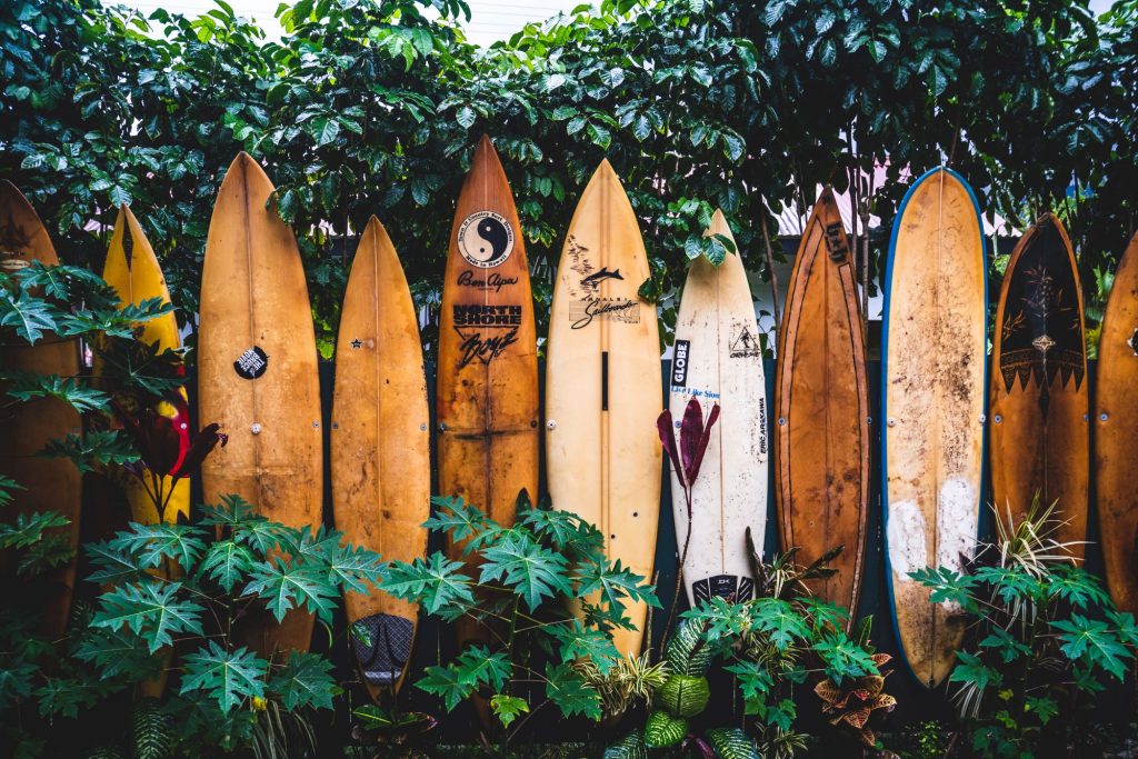 surf boards lined up on a fence in Hawaii