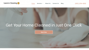 Laura's Cleaning Chicago- cleaning service