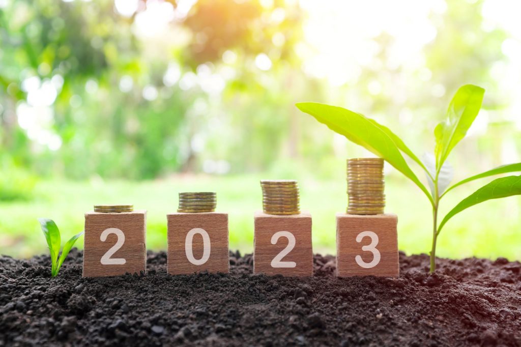 investing in 2023, blocks with numbers 2023 growing in the soil