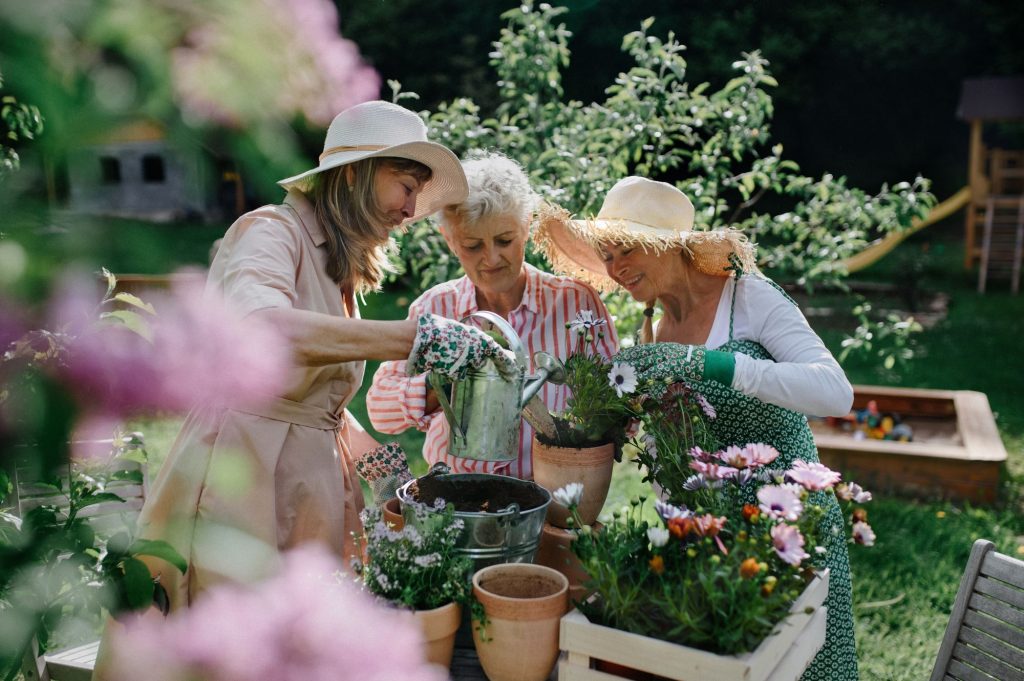 three older women gardening outside together