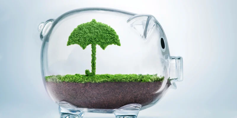 piggy bank trust fund investments