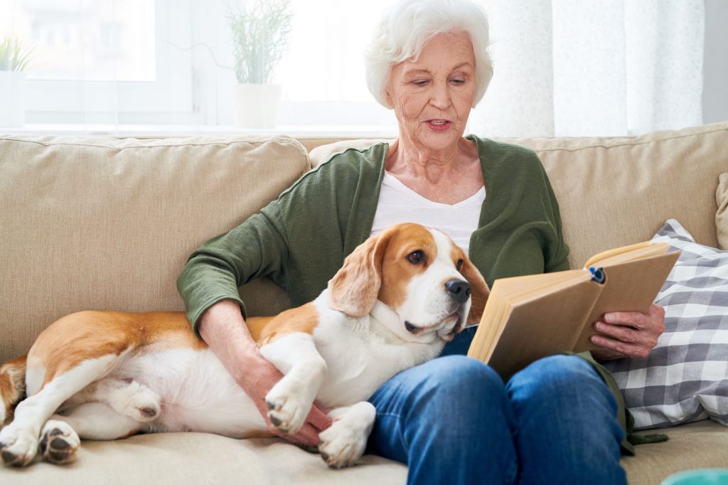 dog on the couch with senior reading a book