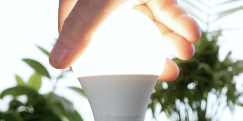 light bulb