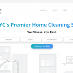 Obsessive Cleaning - New York City, NY