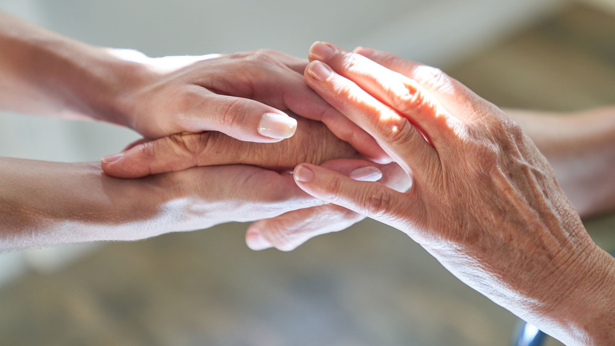 hospice hands
