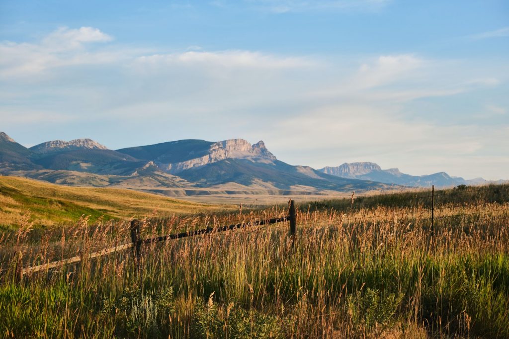 Montana plains