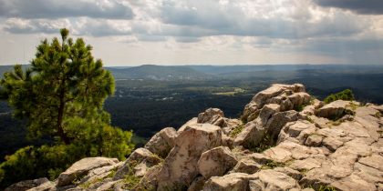 Arkansas landscape
