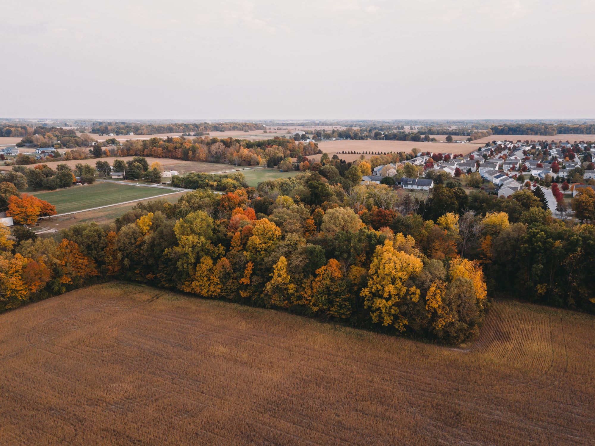 Indiana