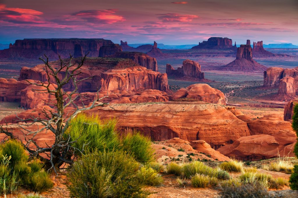 arizona desert