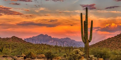 Top 99 Best Retirement and Senior Living Resources Near Phoenix