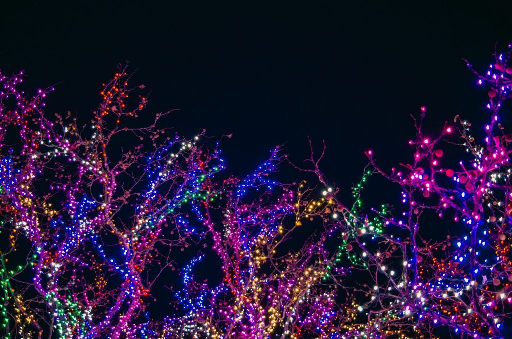 christmas lights