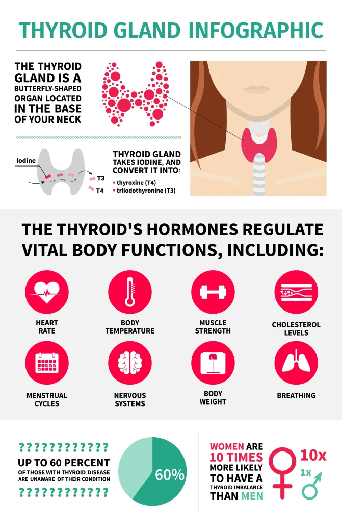 thyroid infographic