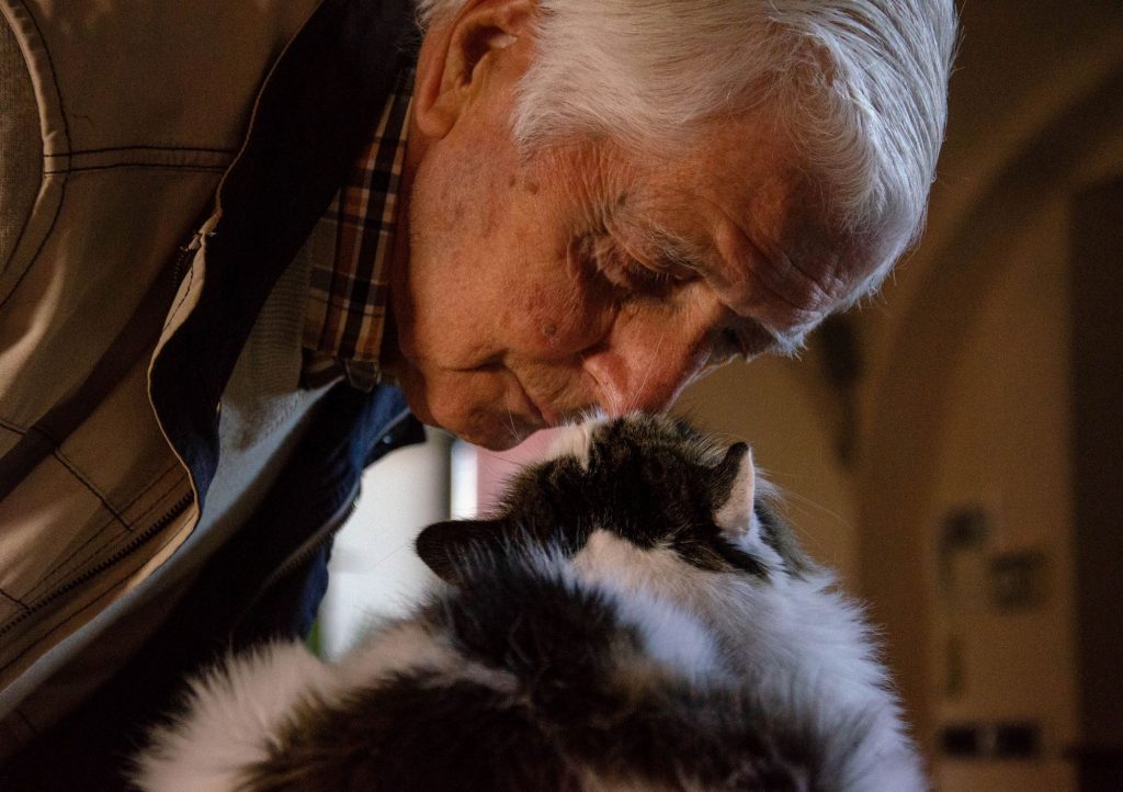 cat and senior
