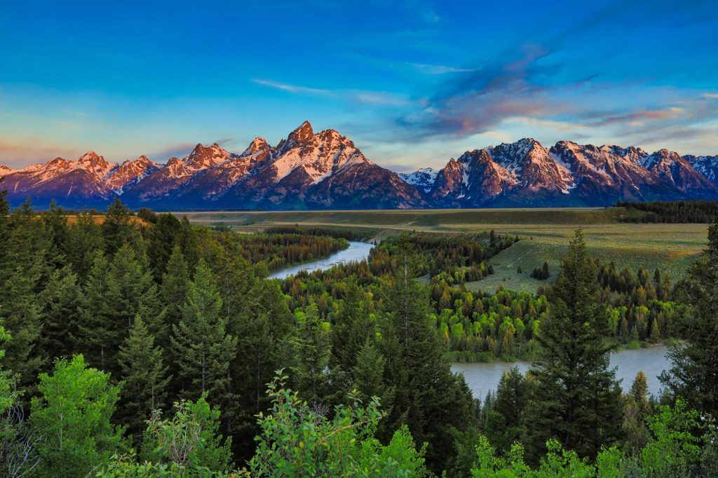 wyoming forest