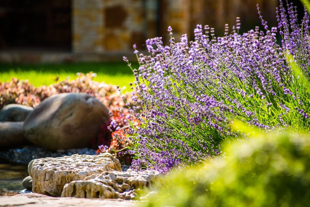 11 Thrifty Landscaping Tips That Don't Look Cheap