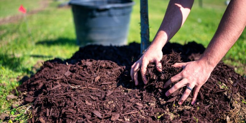 mulch