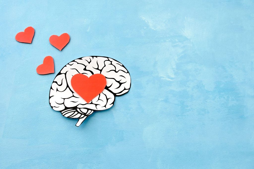 healthy brain heartts