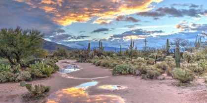 Best Small Towns For Retirement in Arizona