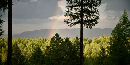 Best Small Towns in Montana for Retirement