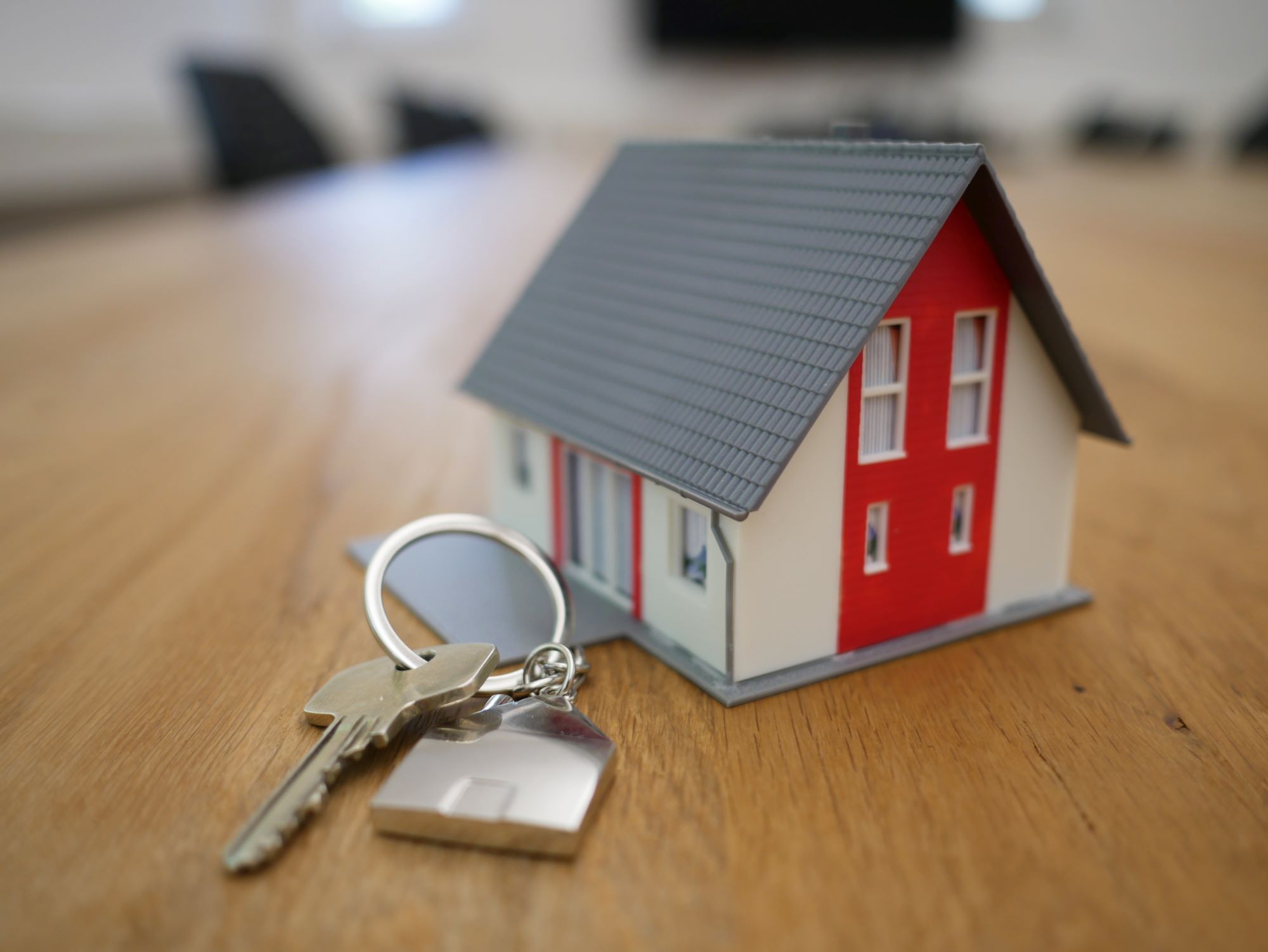 mini house and key