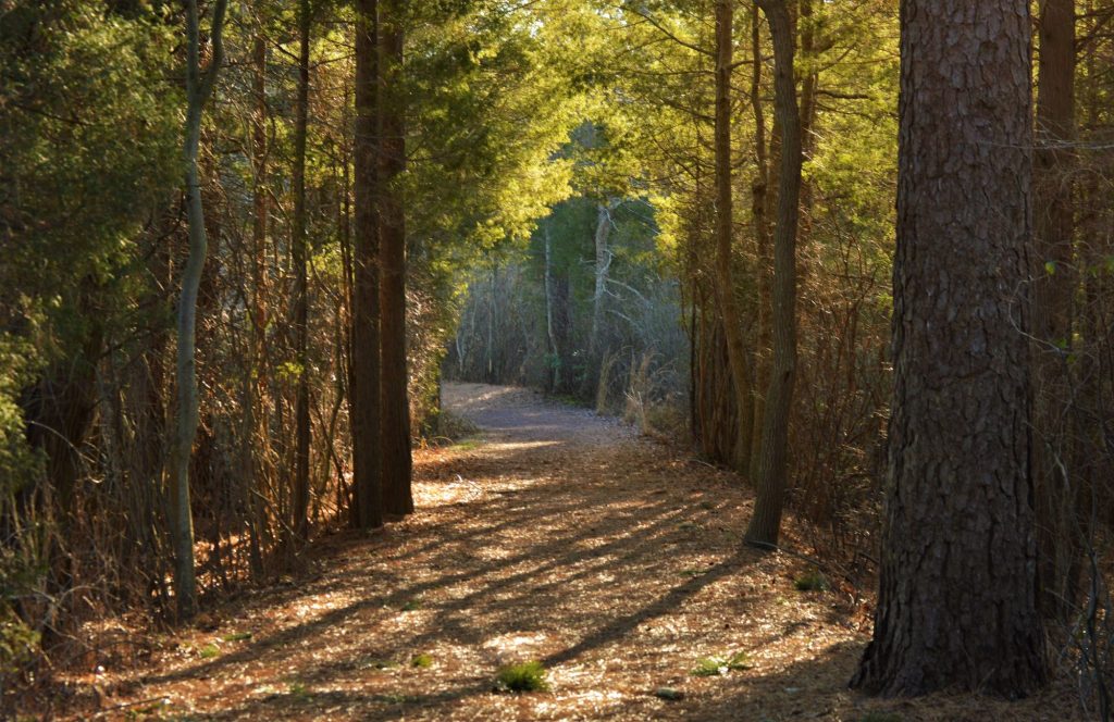 trail