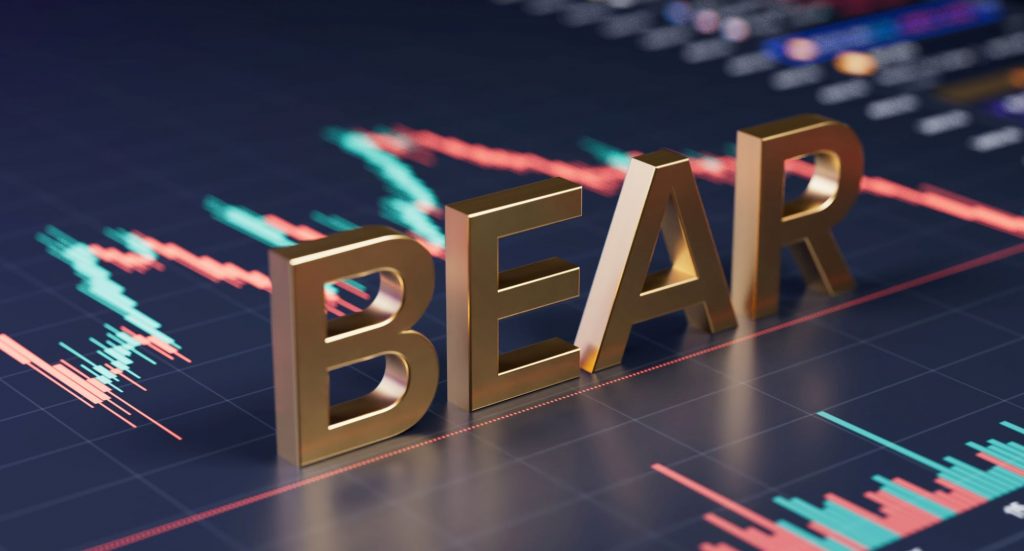 bear market stocks