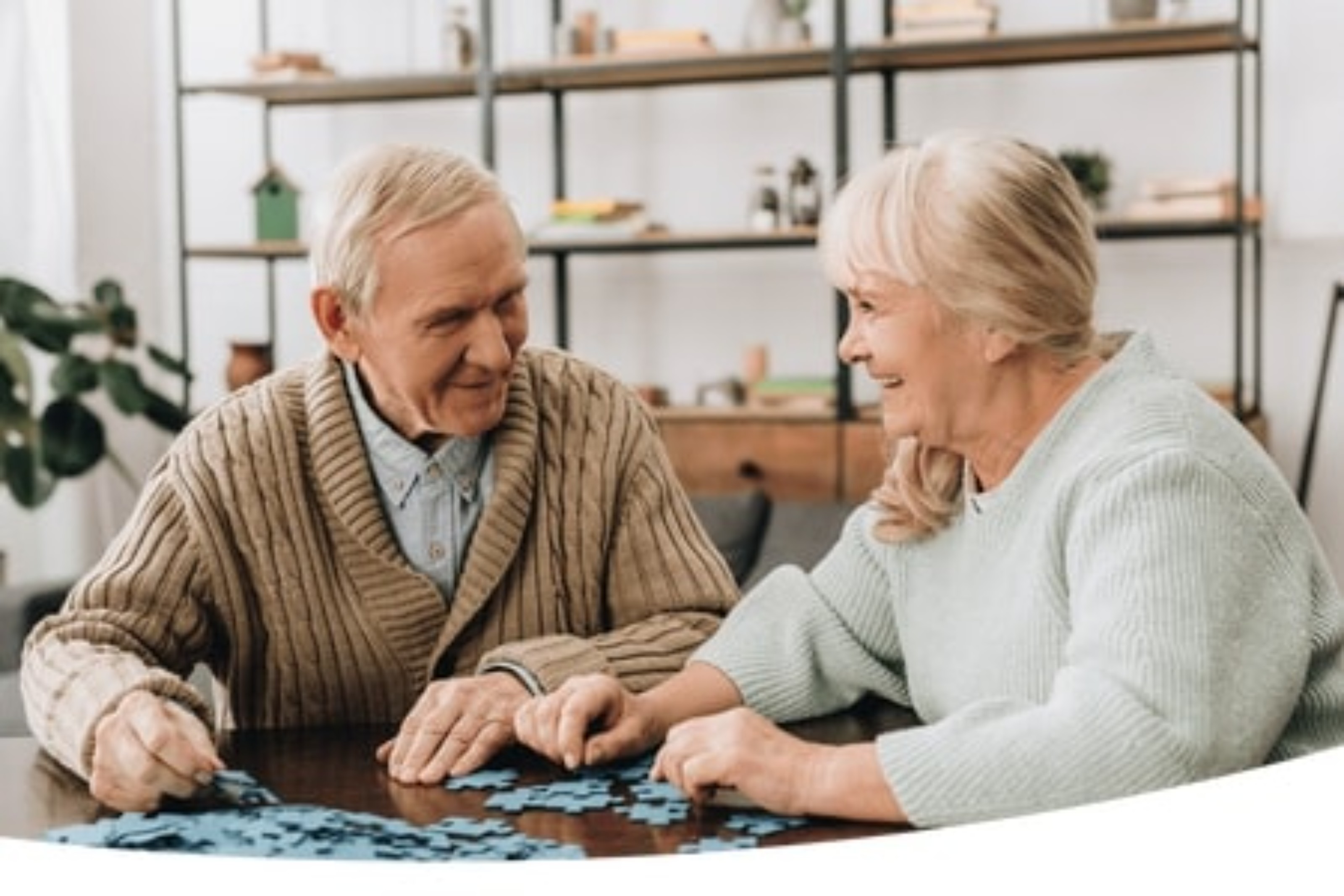 happy seniors playing puzzle 446w 1 1