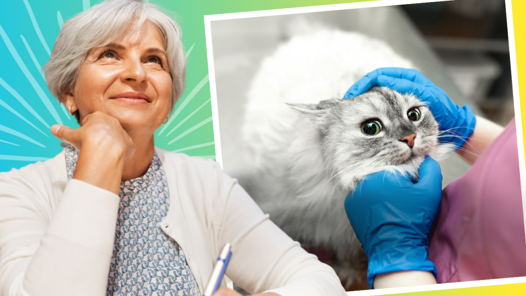best part-time jobs thumbnail