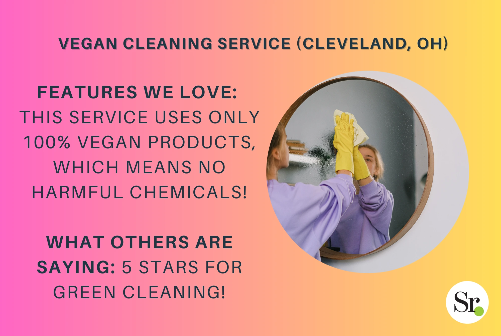 Vegan Cleaning Service (Cleveland, OH) best retirement and housekeeping services near cleveland, ohio senior services