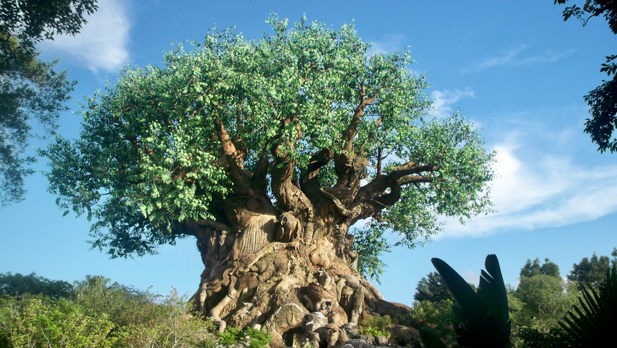Animal Kingdom, Walt Disney World Resort, Bay Lake, FL, USA; Image Credit, Unsplash