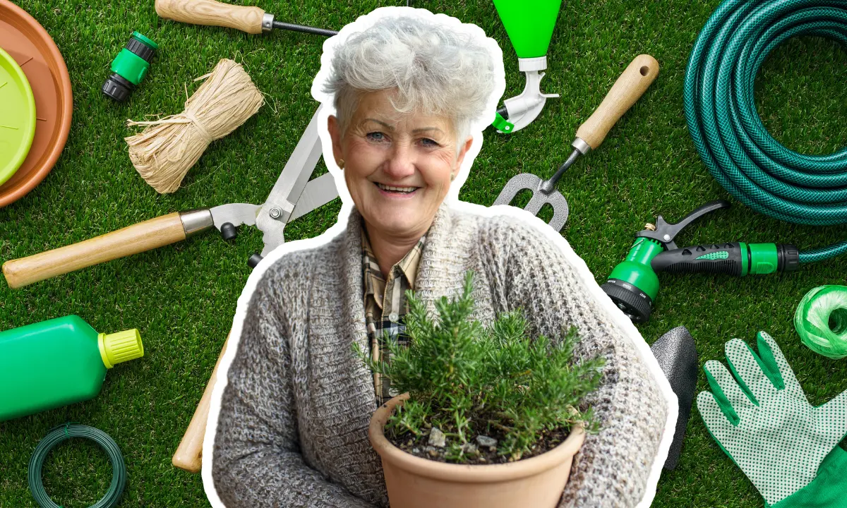 artistic cutout photo of gardening tools and older senior woman holding a potted plant and smiling