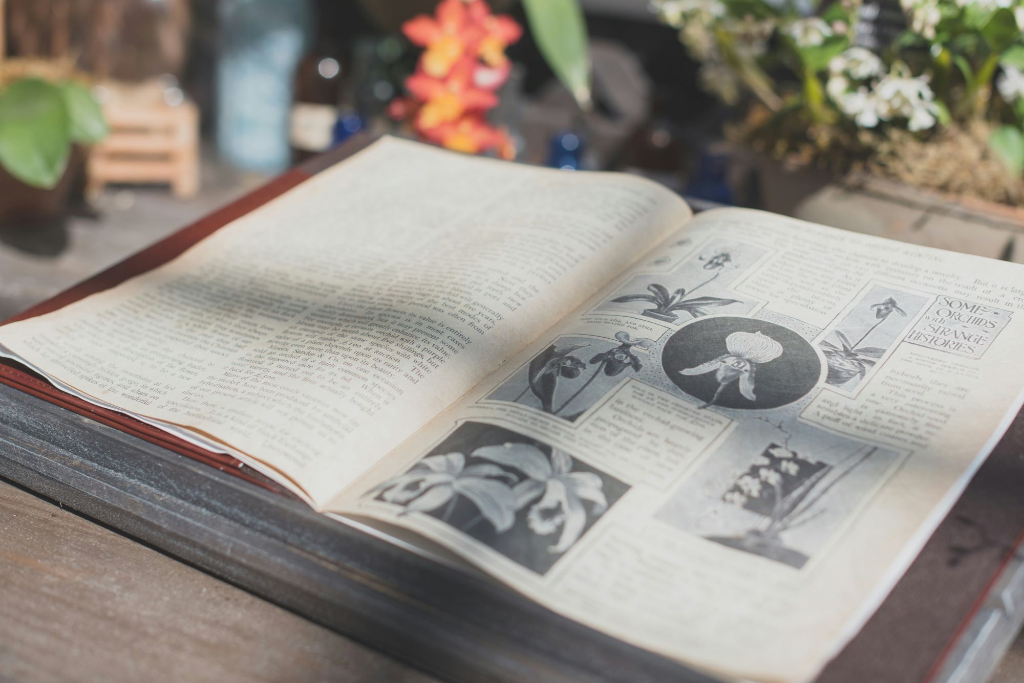 learning book about flowers