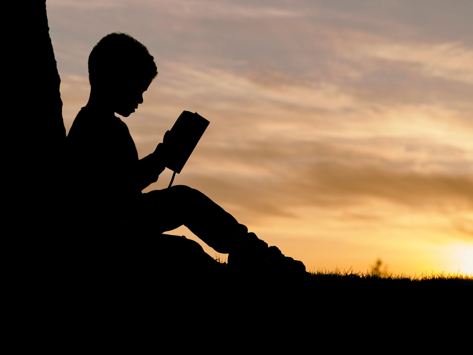 little boy reading