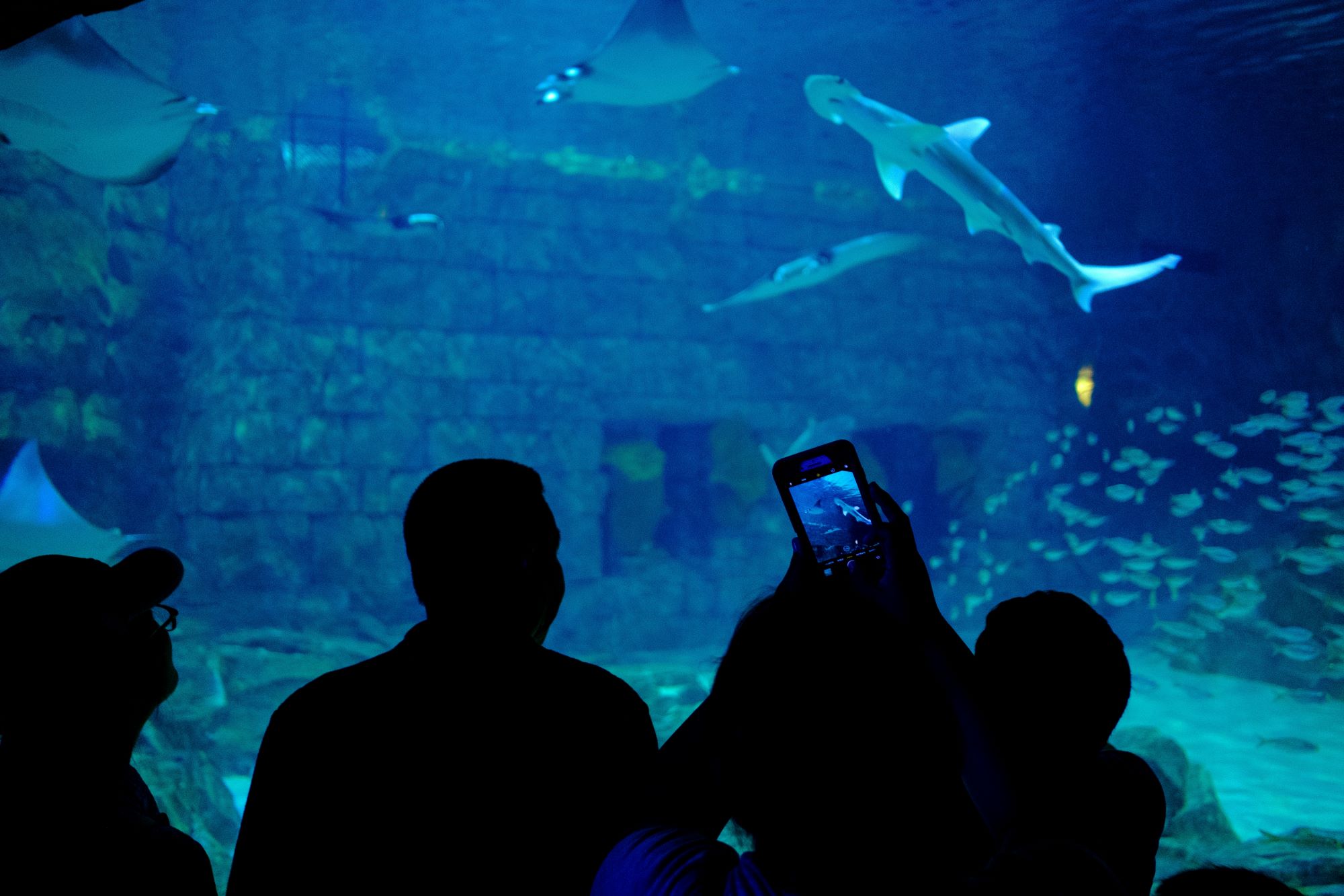 Sea World Drive, Orlando, United States; Image Credit, Unsplash