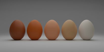 How Much Protein Should You Consume Each Day?