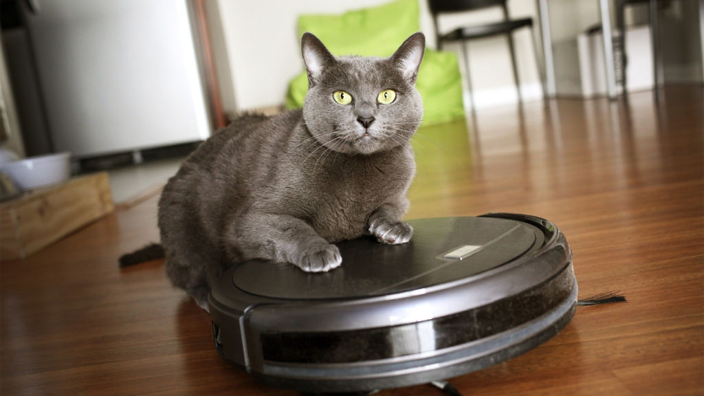 smart home vacuum with cat sitting on top