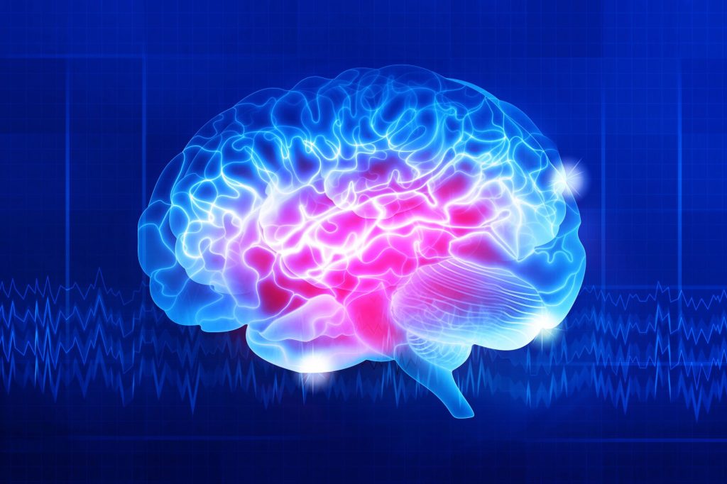 Human brain on a dark blue background. Digital illustration