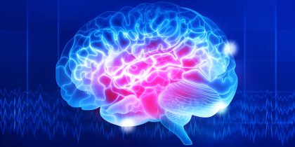 Human brain on a dark blue background. Digital illustration