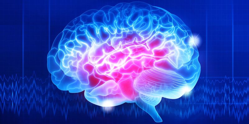 Human brain on a dark blue background. Digital illustration