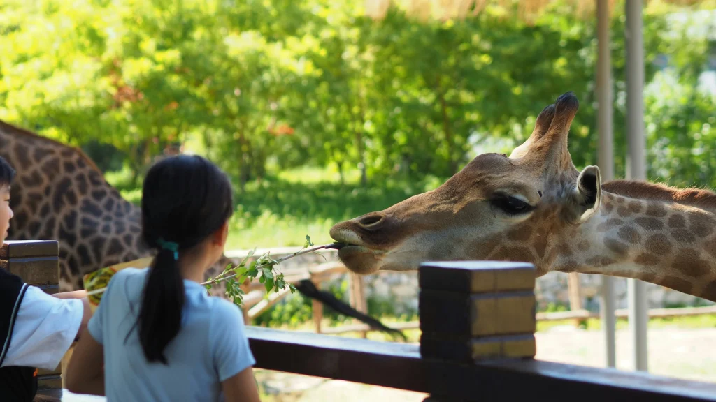 grandchild at the zoo