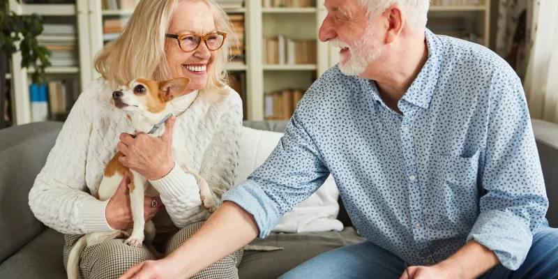 two seniors with tax info on coffee table sitting on couch with dog in lap