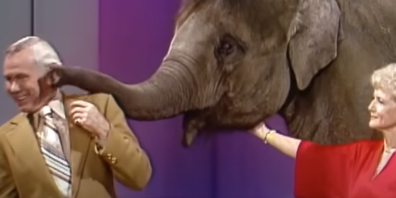 The legendary Betty White surprised Johnny Carson with an elephant during an appearance on The Tonight Show.