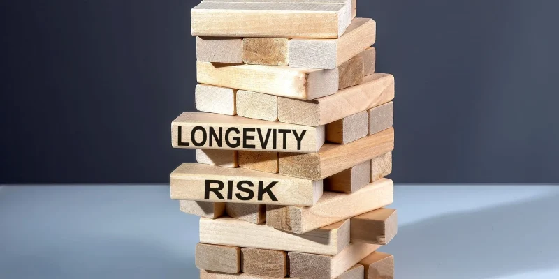 The text on wooden blocks LONGEVITY RISK