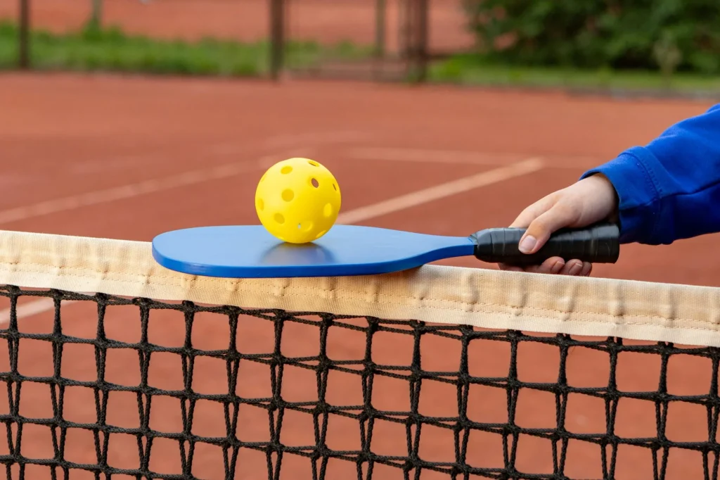 pickleball net and ball
