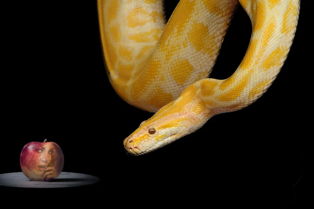snake and apple with a woman's face in it; eve and serpent