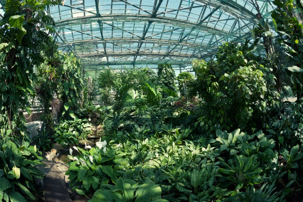 butterfly garden