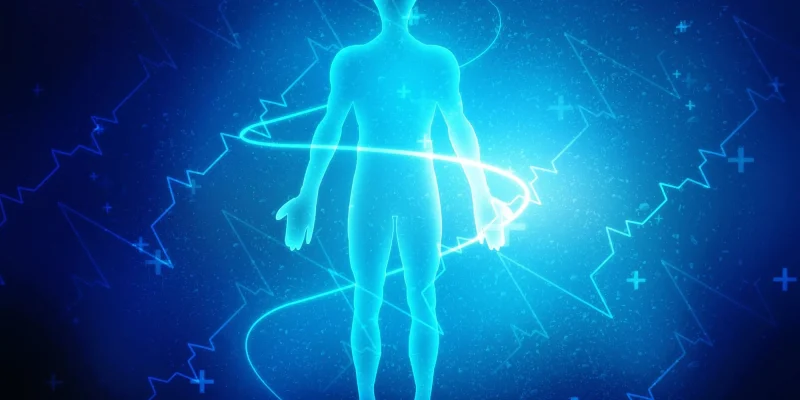 2d illustration Human Male Muscle Body